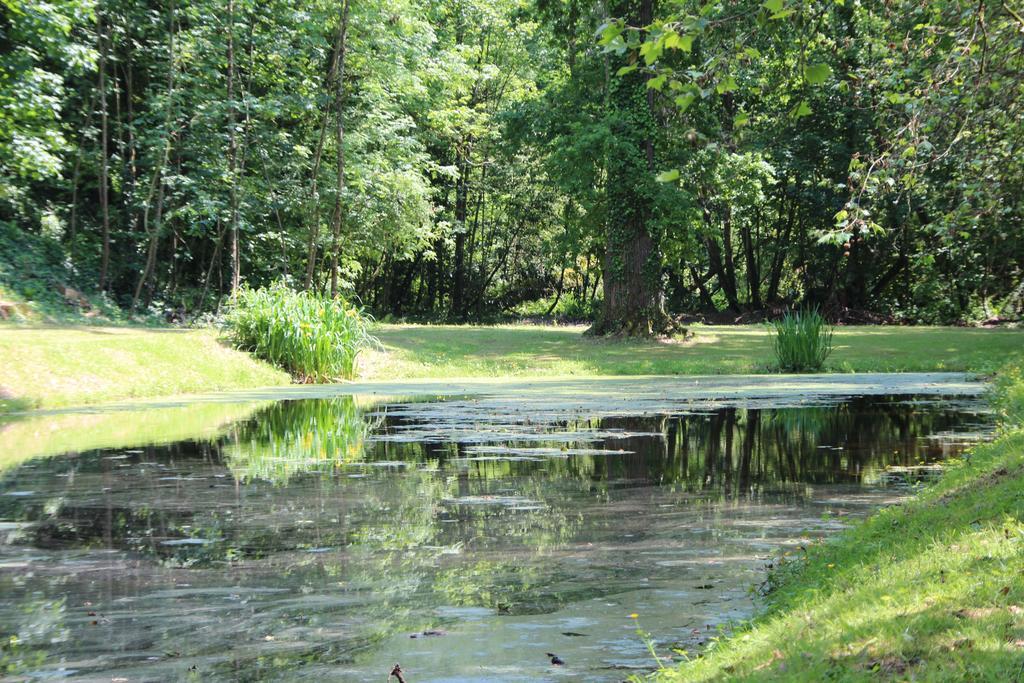 Отель Le Manoir Du Rodoir Ла-Рош-Бернар Экстерьер фото
